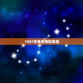 1987年兔男婚配属相，2022 年属鼠人几岁