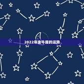 2022年金牛座的运势，2021年金牛座的运程好吗 事业稳步上升 财运