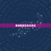 易经属鼠出生日命运，属鼠人出生在农历十一月份一生运气命运怎样