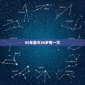 85年属牛36岁有一灾，属牛85年出生，今年是否会有贵人相助