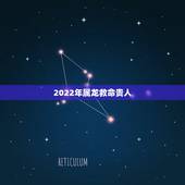 2022年属龙救命贵人，2022添丁生男孩生肖