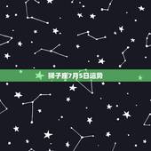 狮子座7月5日运势，狮子座的运势