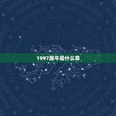 1997属牛是什么命，1997年属牛女婚姻状况