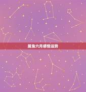 属兔六月感情运势，1987年9月13曰属兔女今年的感情运势怎样？
