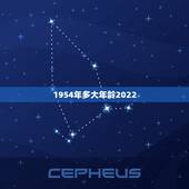 1954年多大年龄2022，2022年属什么生肖多少岁