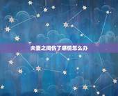 夫妻之间伤了感情怎么办，如果夫妻之间没有感情，该怎么办？