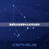 属猪的女宝宝取什么名字比较好，双胞胎属猪的女孩取什么名字好谢谢