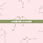 66年属马男2022年运势，1966年属马2021年运势及运程