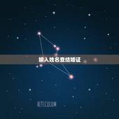 输入姓名查结婚证，民政局自动查询系统