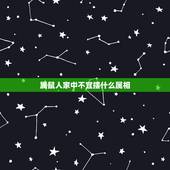 属鼠人家中不宜摆什么属相，属鼠人能在家中摆虎吗