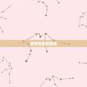 属狗男最佳婚配，属狗的最佳配偶属相