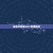 起名字男孩2021免费起名，公司起名字2021免费八字起名？