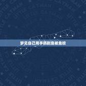 梦见自己用手抓到鱼被鱼咬，梦到抓鱼被鱼咬是什么