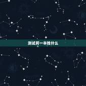 测试另一半姓什么，用自己姓测另一半的姓