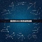 属虎的2022年的运势运程，2022年属虎人的全年运势