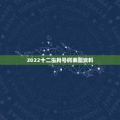 2022十二生肖号码表图资料，2022 生肖号码波色表图