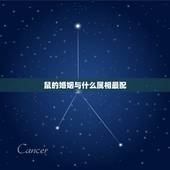 鼠的婚姻与什么属相最配，属鼠的和什么属相最配 属鼠的属相婚配表