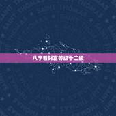 八字看财富等级十二级，财运好不好，从八字天干看财运，哪些人容易走偏财运