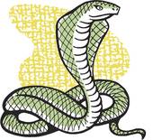 麦玲玲2023属猪吉星(猪年大吉麦玲玲命格大解析)