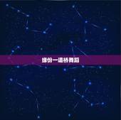 缘份一道桥舞蹈，周深缘分一道桥是哪个春晚？