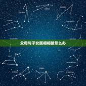 父母与子女属相相破怎么办，父母 和子女的生肖真的有相冲之说
