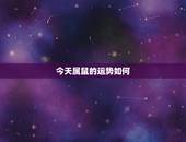 今天属鼠的运势如何，2018年属鼠人的全年运势