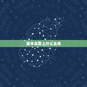 属羊会爱上什么生肖，辛未羊2022 年感情运势