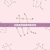 女属猪男属猴婚配好吗，女属猪猴配什么生肖更好的