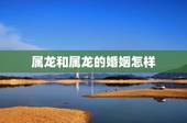 属龙和属龙的婚姻怎样，属龙和十二生肖龙的婚姻如何