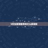 9月生属相猴男和什么属相配，猴年男跟什么属相相配