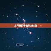 上完香的香根怎么处理，敬香的香根怎么处理