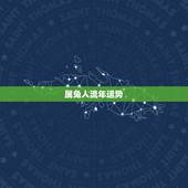 属兔人流年运势，十二生肖的流年运势运程生肖兔