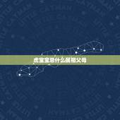 虎宝宝忌什么属相父母，属虎的宝宝和什么属相的父母好