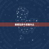 查看日历今天属什么，老黄历今天属相是什么