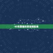 95年属猪的更佳婚配表，1995年婚配对象