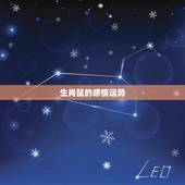 生肖鼠的感情运势，属鼠人09年运程