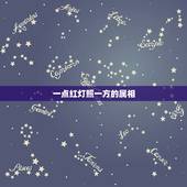 一点红灯照一方的属相，买个大码一生好，一点红灯照一方猜生肖