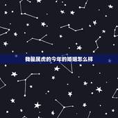 我是属虎的今年的婚姻怎么样，三观不合的婚姻怎么办