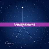 女马和男狗属相合不合，男大女相差4岁好吗？男的属马女的属狗，生肖不会相