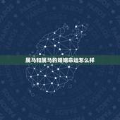 属马和属马的婚姻命运怎么样，马的更佳婚配