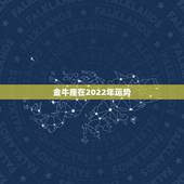 金牛座在2022年运势，金牛座2021年的全年运势