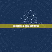 属猴和什么属相最配婚姻，属猴的最好与属什么属相的结姻缘
