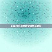 2022年3月的虎宝宝命运如何，2022年7月的虎宝宝命运如何
