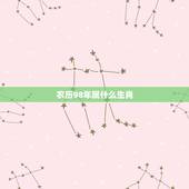 农历98年属什么生肖，1998年生肖属什么？