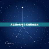 虎巨蟹女和哪个属相星座最配，巨蟹座和哪个星座最配