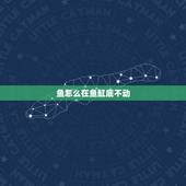 鱼怎么在鱼缸底不动，鱼为什么总是在鱼缸最下边不动.