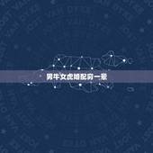 男牛女虎婚配穷一辈，男属牛和女属虎的婚姻是怎样的？