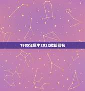 1985年属牛2022微信网名，1985年生肖牛在2022年运势如何
