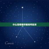 什么是婚姻诈骗如何起诉，利用婚姻诈骗怎样写起诉书？