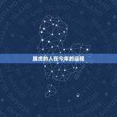 属虎的人在今年的运程，属鸡人在2022 年的全年运势
